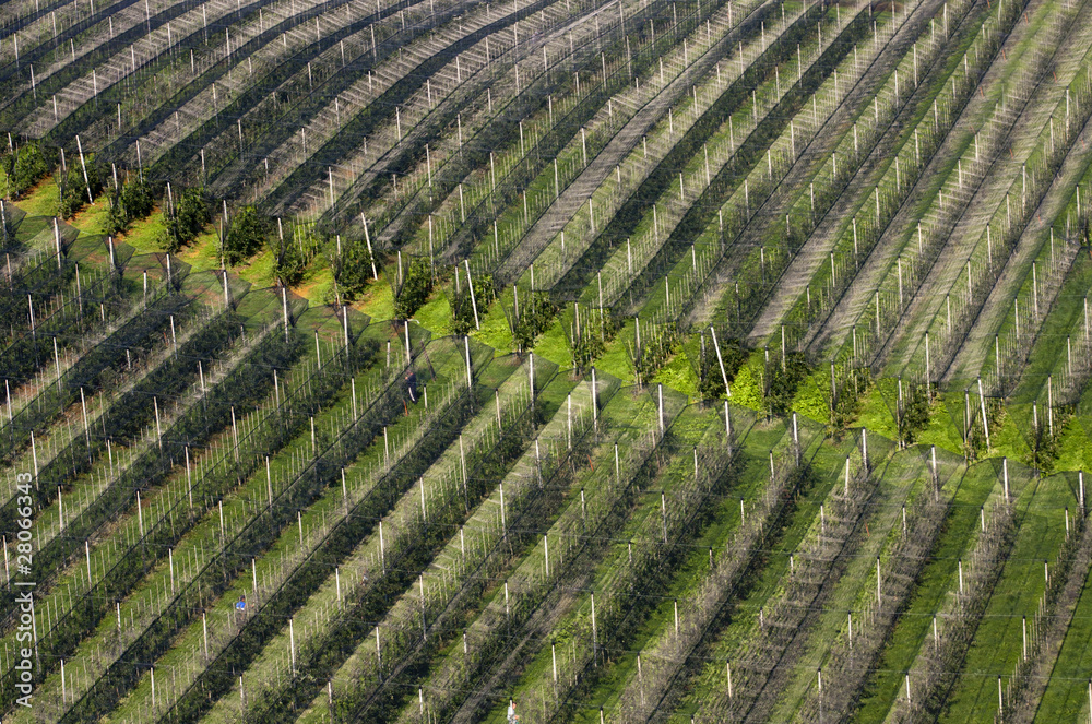 1000_F_28066343_i7GUJYmCm8Tgh9NmGuunzSR1kc3osZ4R